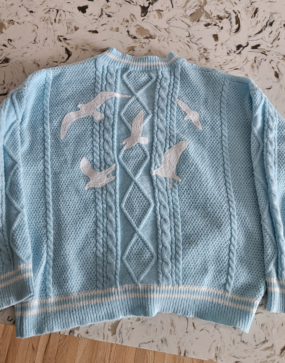 Taylor swift cardigan