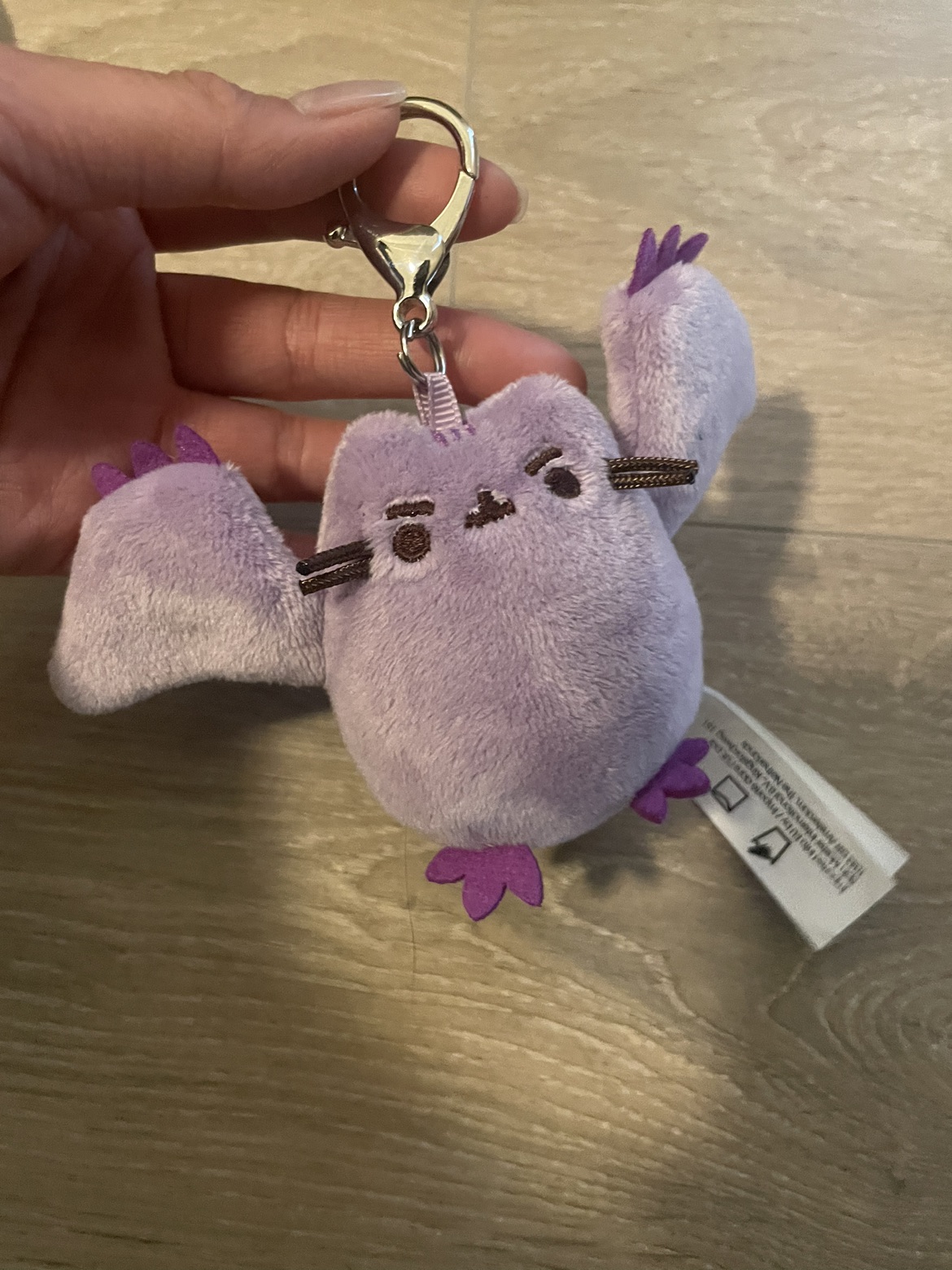 Pusheen/Mickey keychains