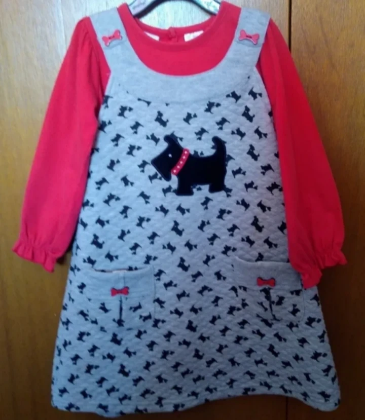 Girl's 2 PC Jumper Dress with Shirt thumbnail