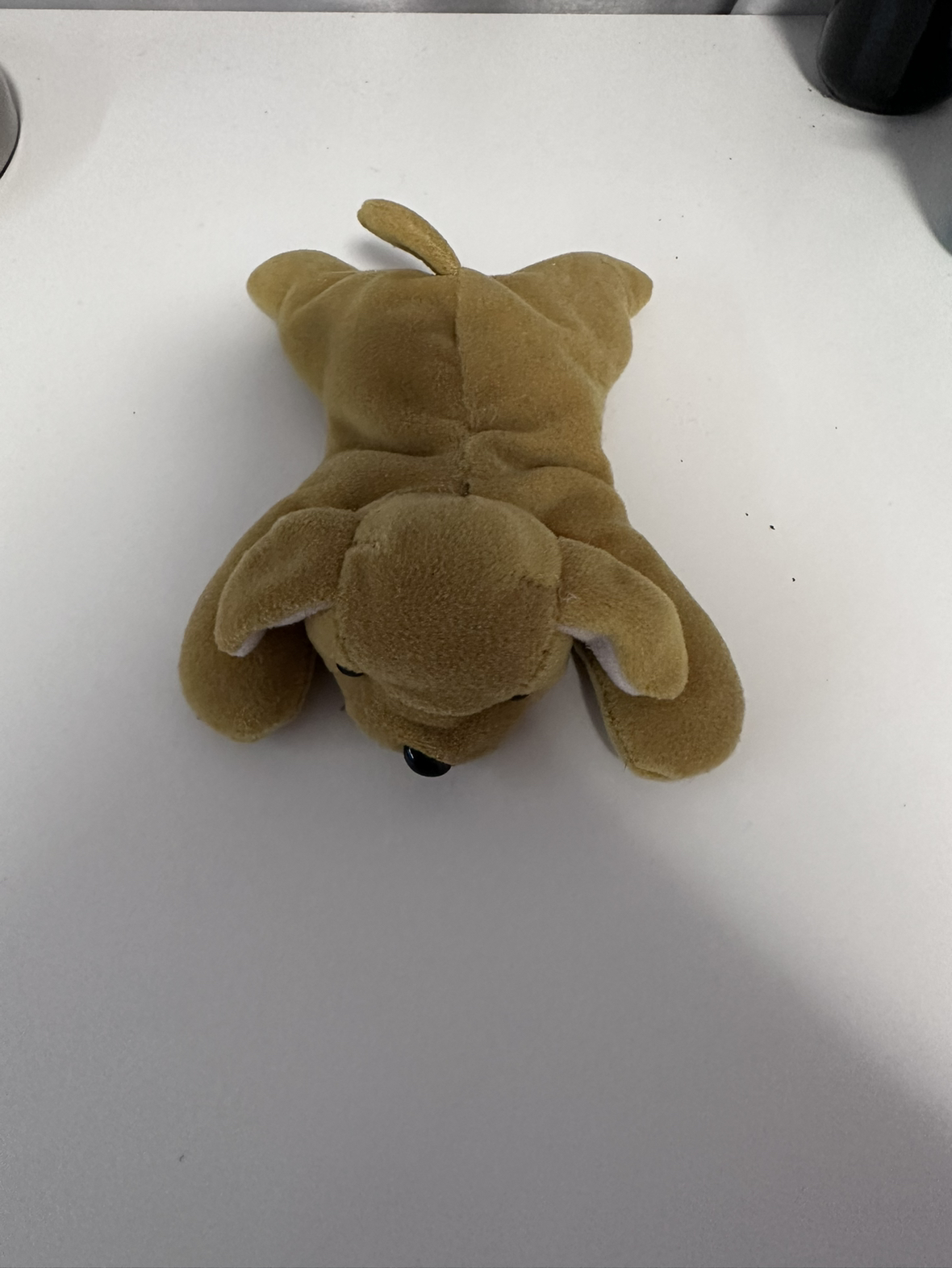 Small doggy plush #freecycle - photo 3