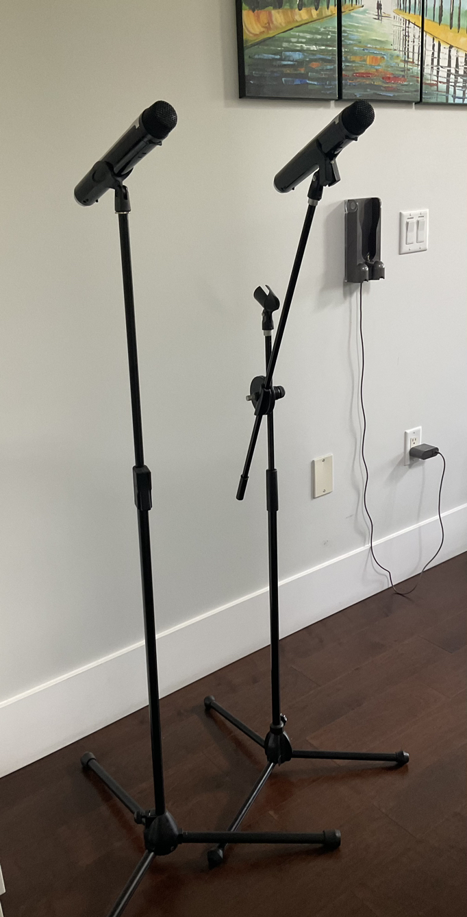 Wireless microphone karaoke - photo 4