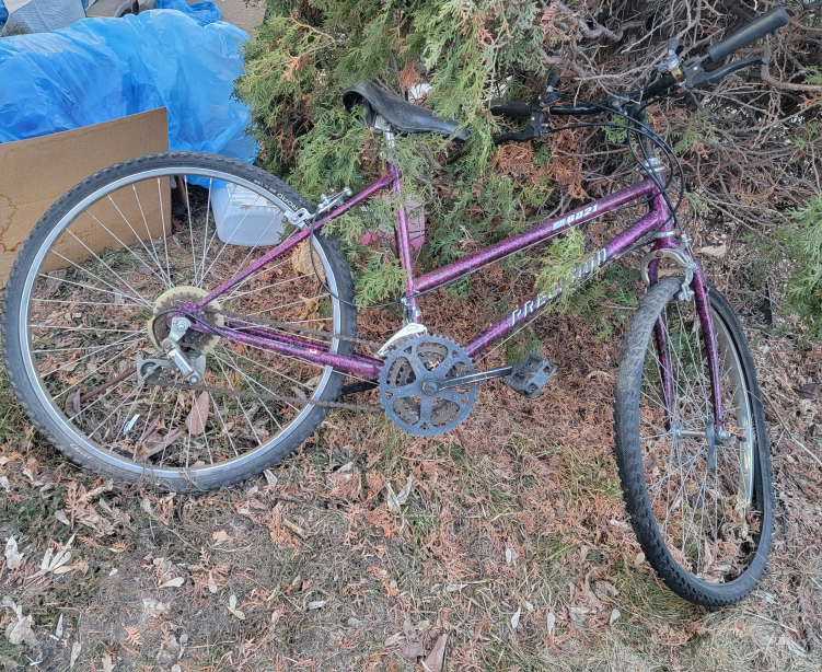 women's red bike