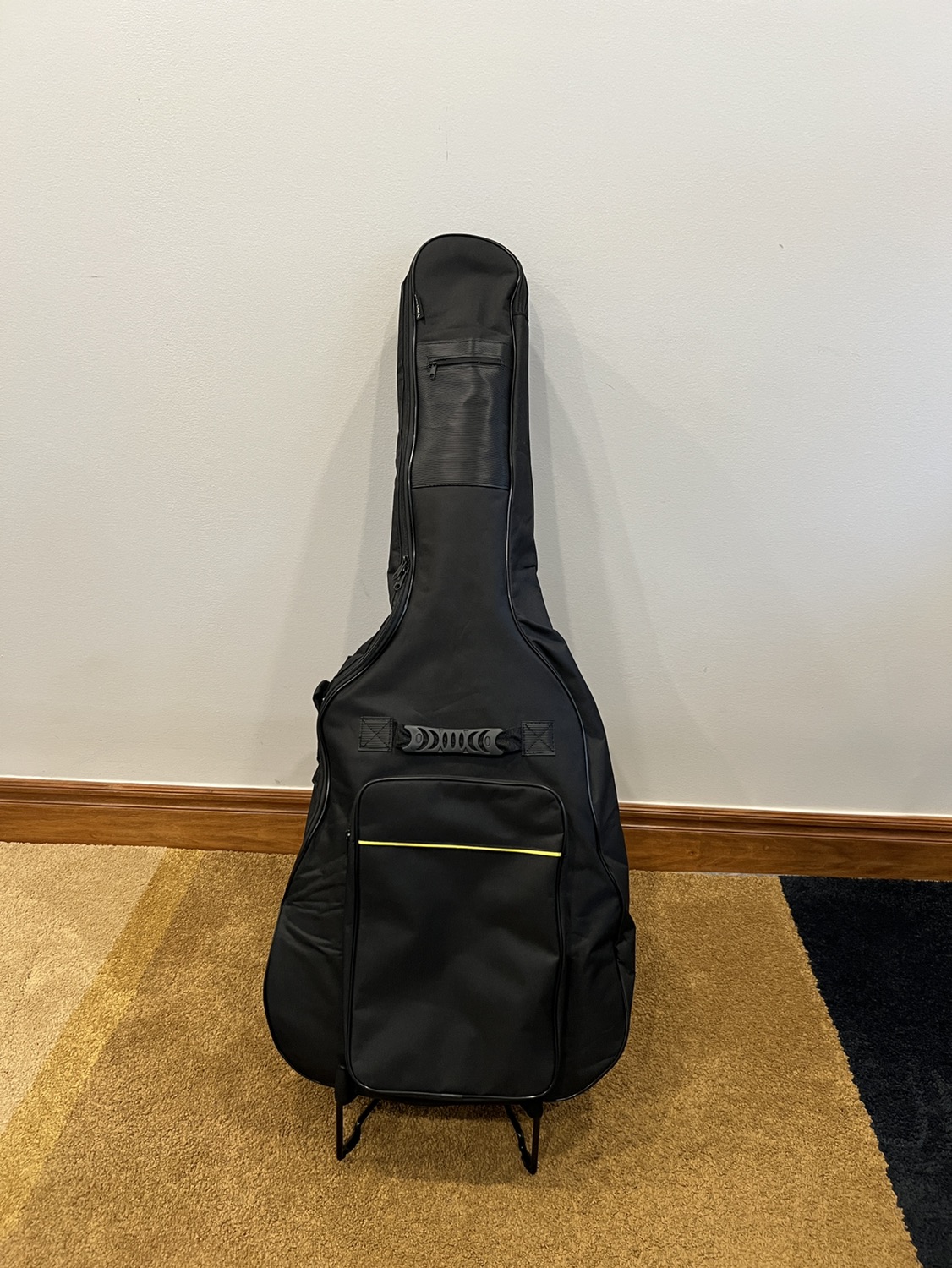 Guitar Case/Cover - Half Price