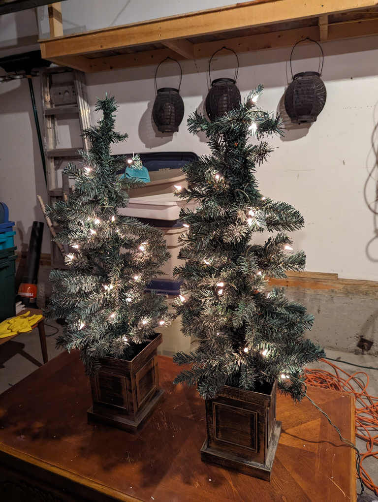 Two Lit Outdoor Trees