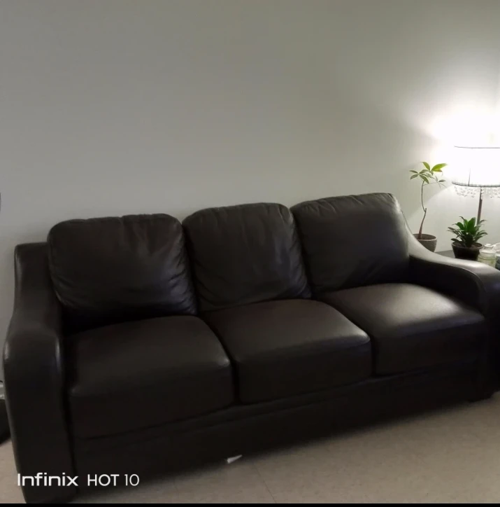 2 love seats and a 3 seats Sofa for sale - photo 2