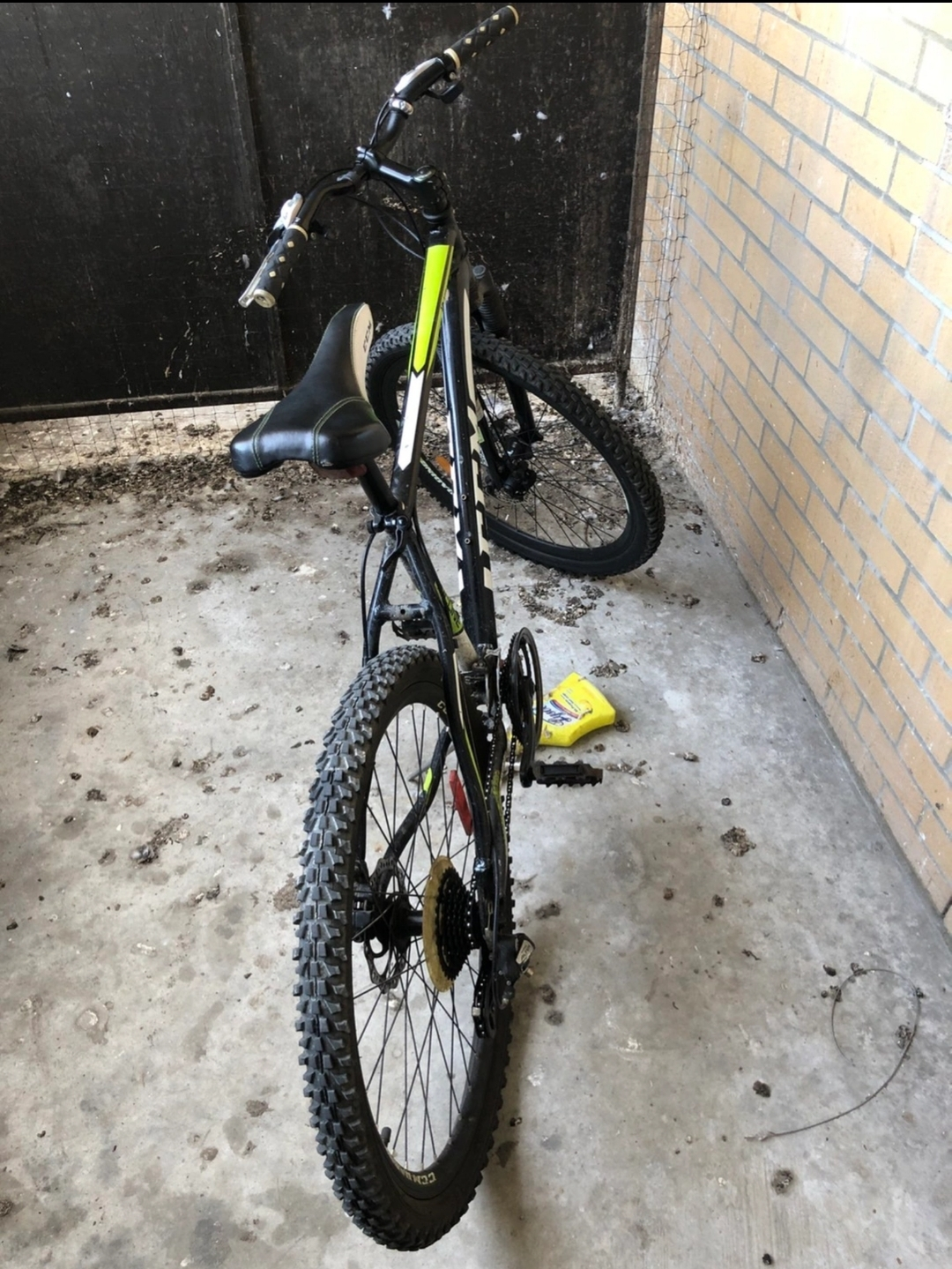 Adult bicycle - photo 2