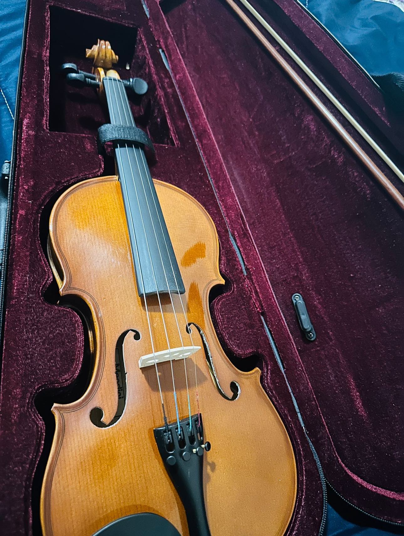 Violin