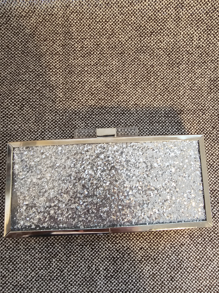 Sparkly Silver Metal Rectangular Shoulder Purse and Clasp image indicator(5)