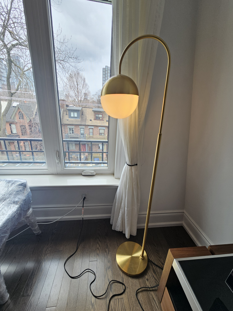 Beautiful MCM style floor lamp
