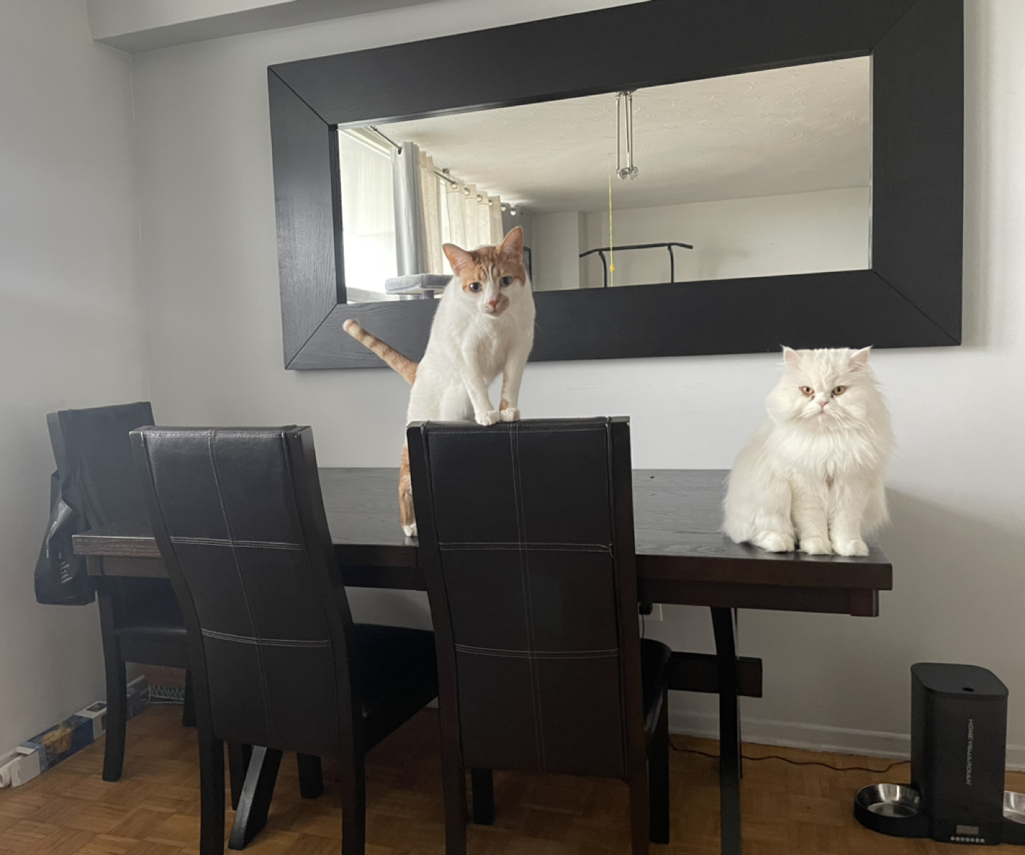 Dinning table set