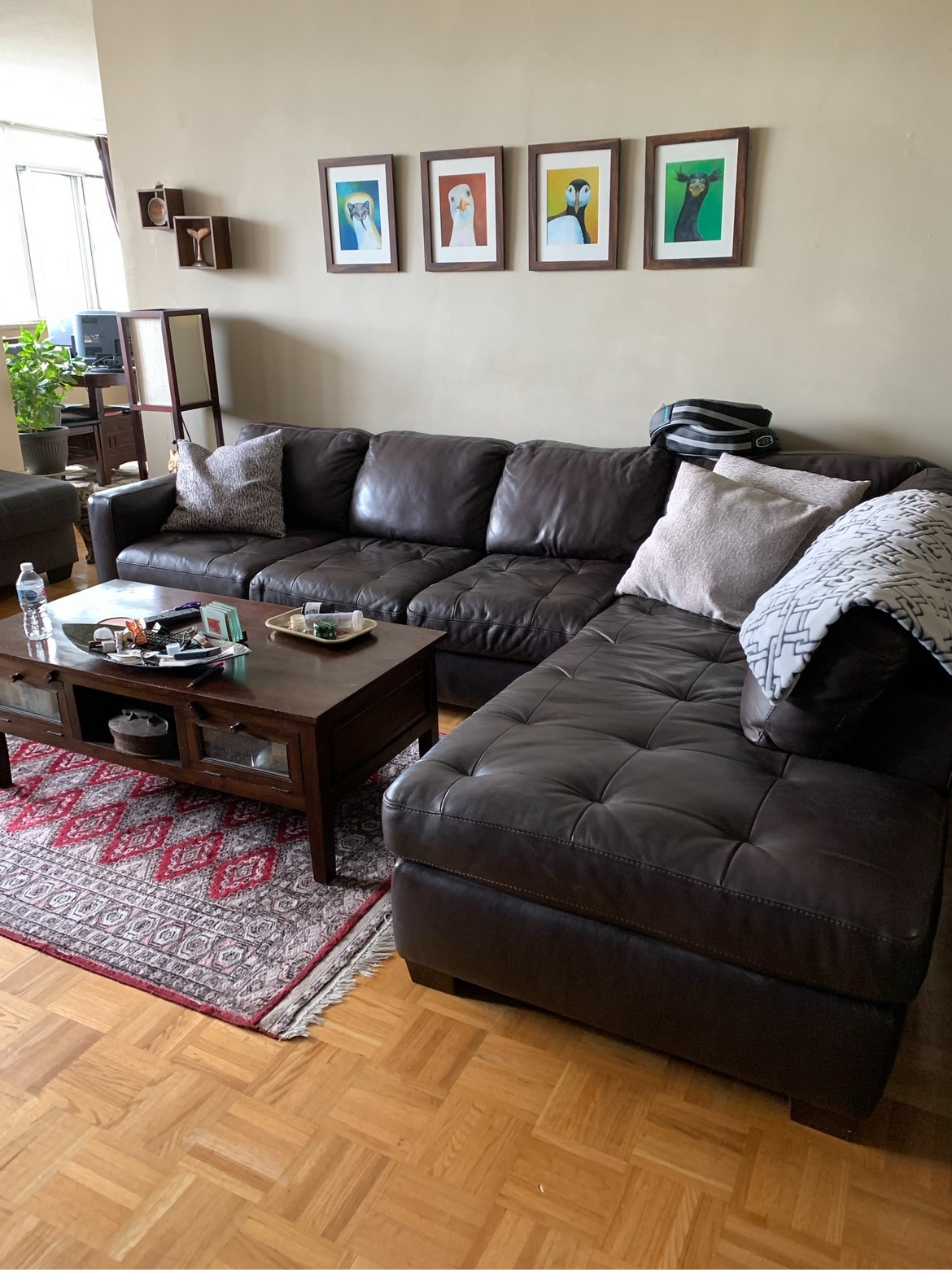 Genuine leather sectional couch with pull-out bed!!
