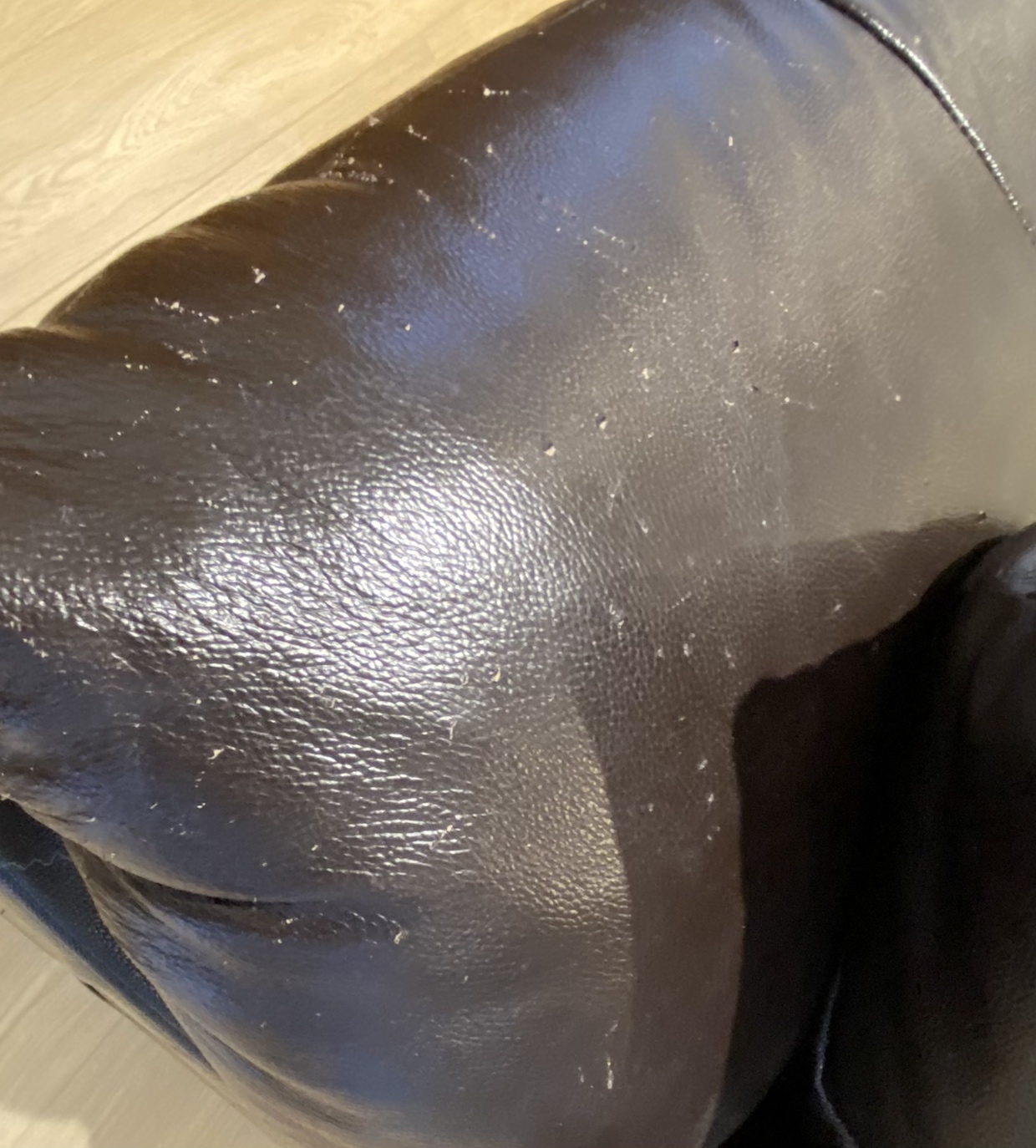 FREE leather sofa & loveseat with cleaning solution! image indicator(7)