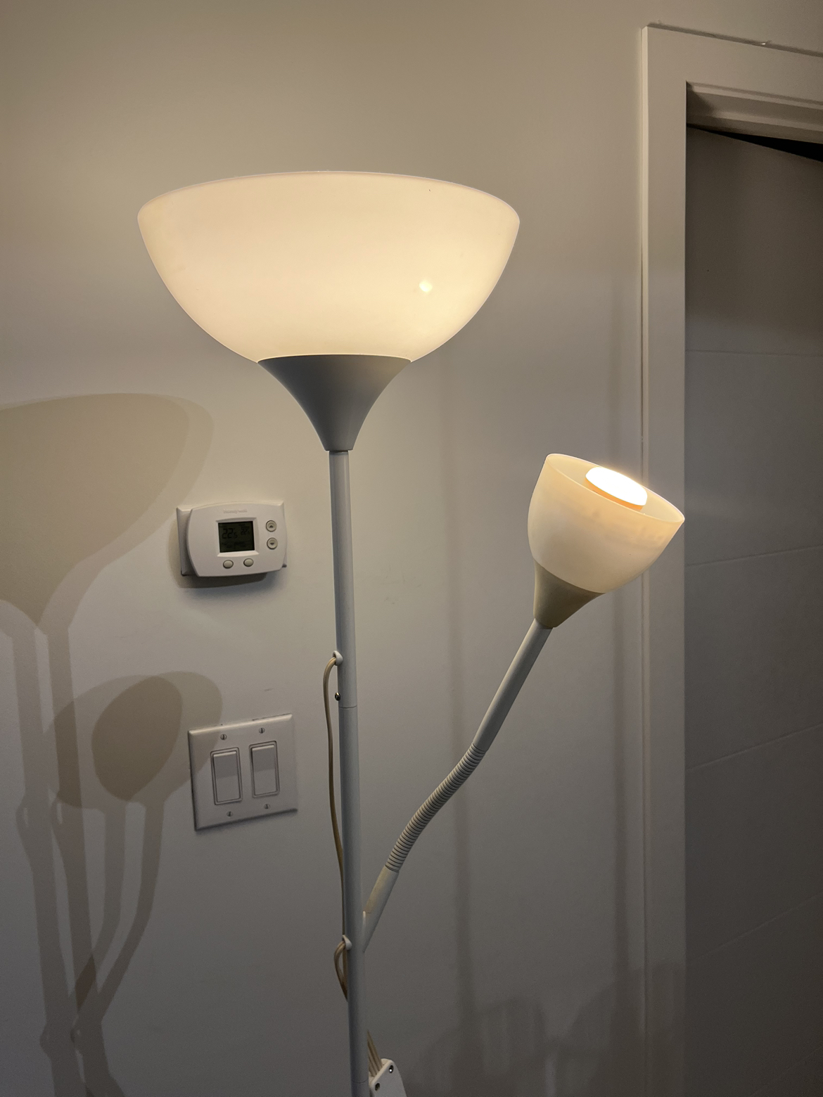 Floor Lamps