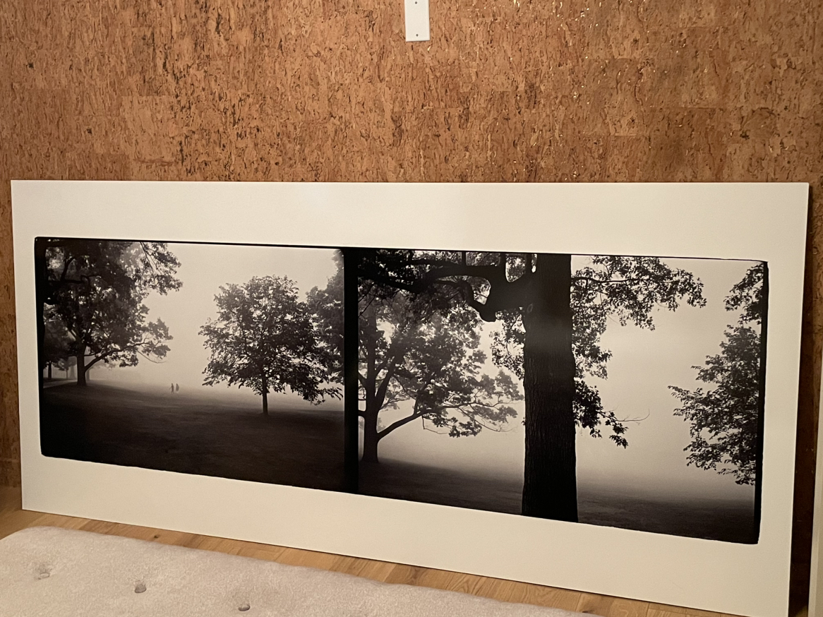 Large wall art. Photos of High Park 95.5”l 43.75”h - photo 3