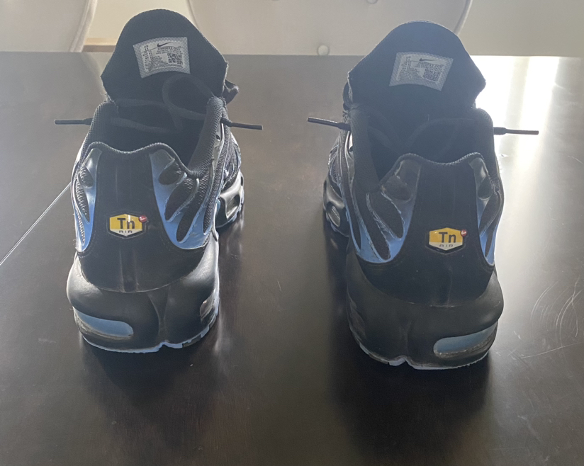 Nike Air Max Plus (TNs) - photo 4