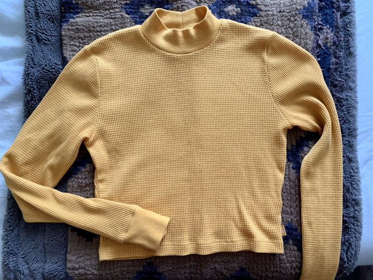 Aritzia TNA crop top