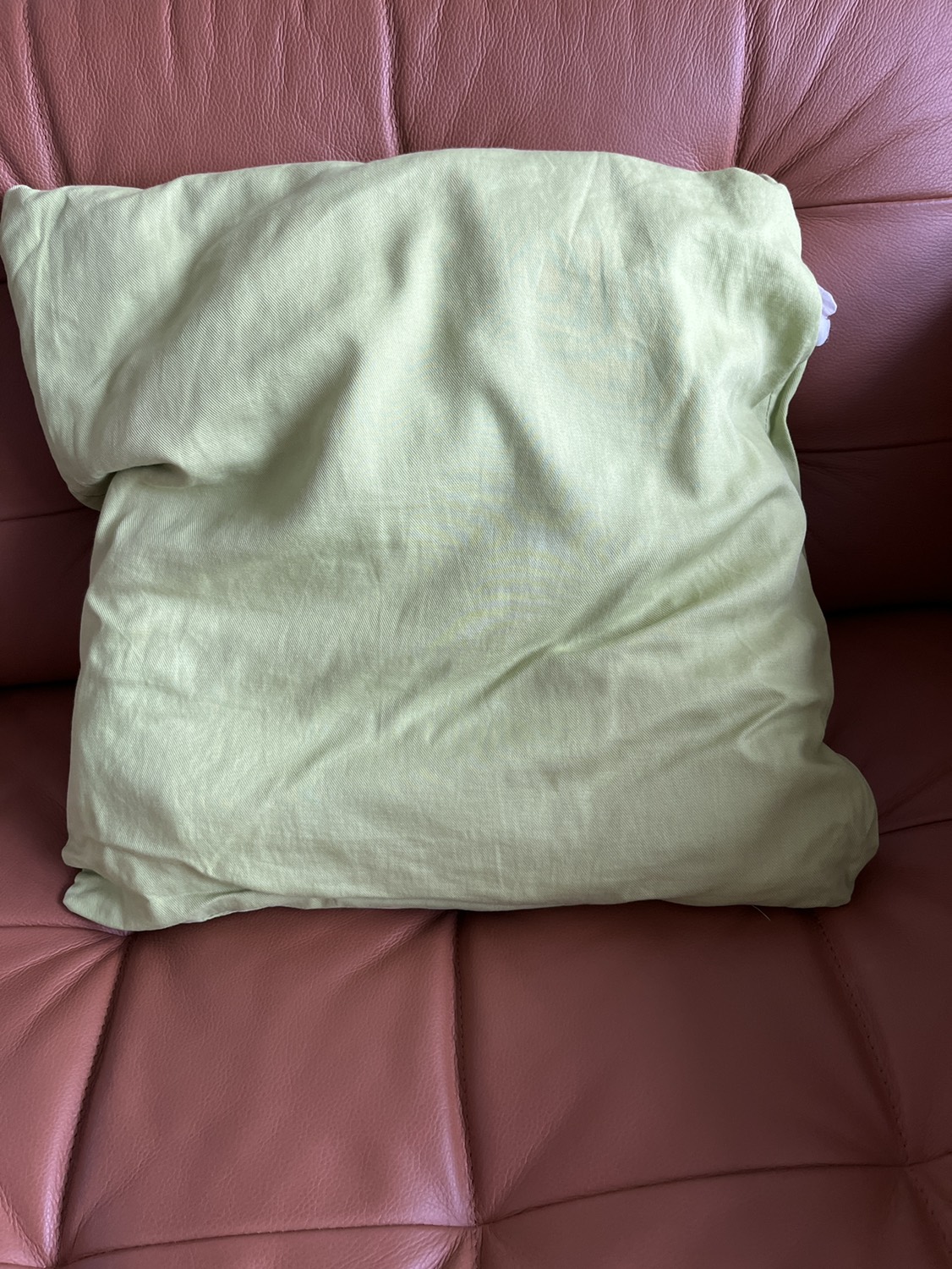 #freecycle Cushion thumbnail