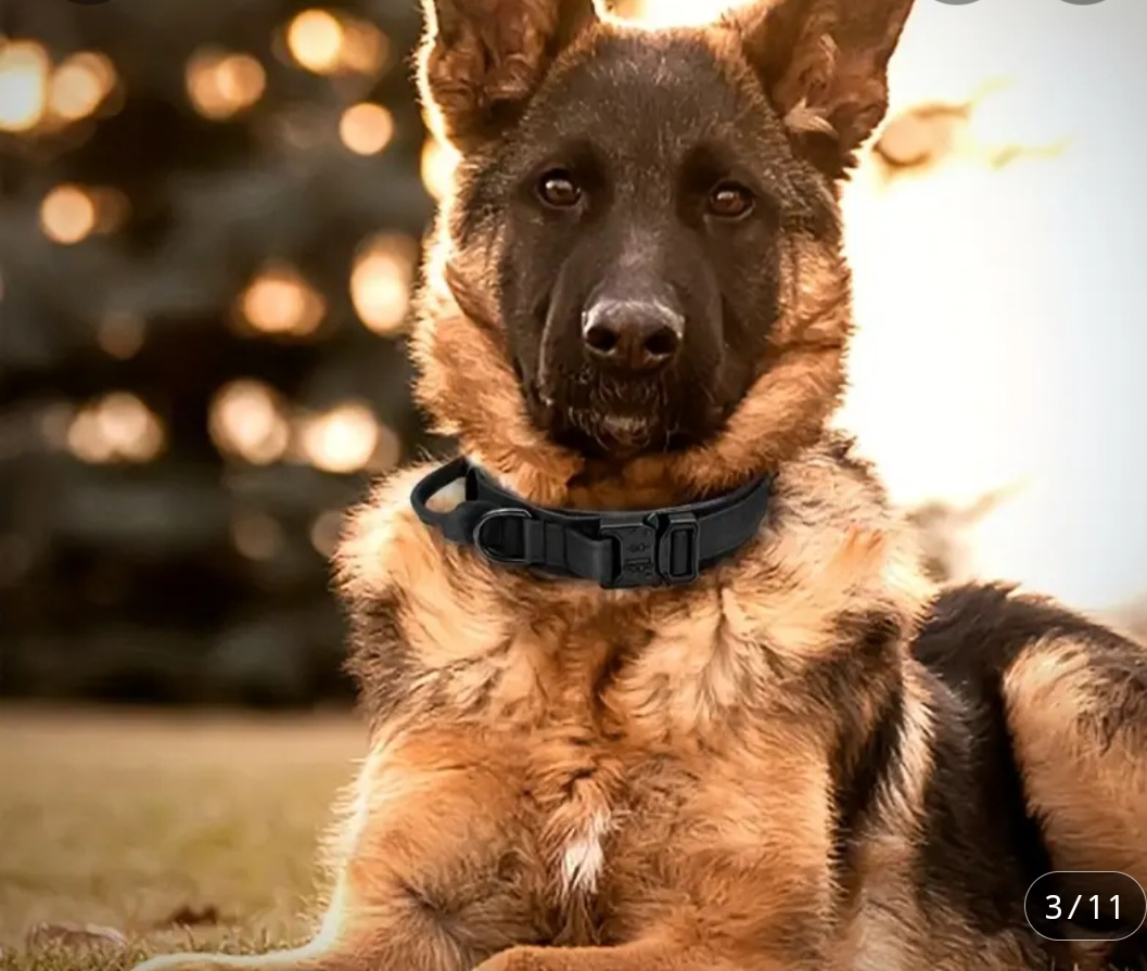 Tactical Heavy Duty Dog Collar MEDIUM BLACK image indicator(2)