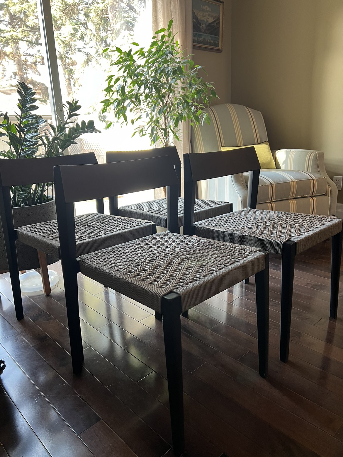 Dining Chairs x4