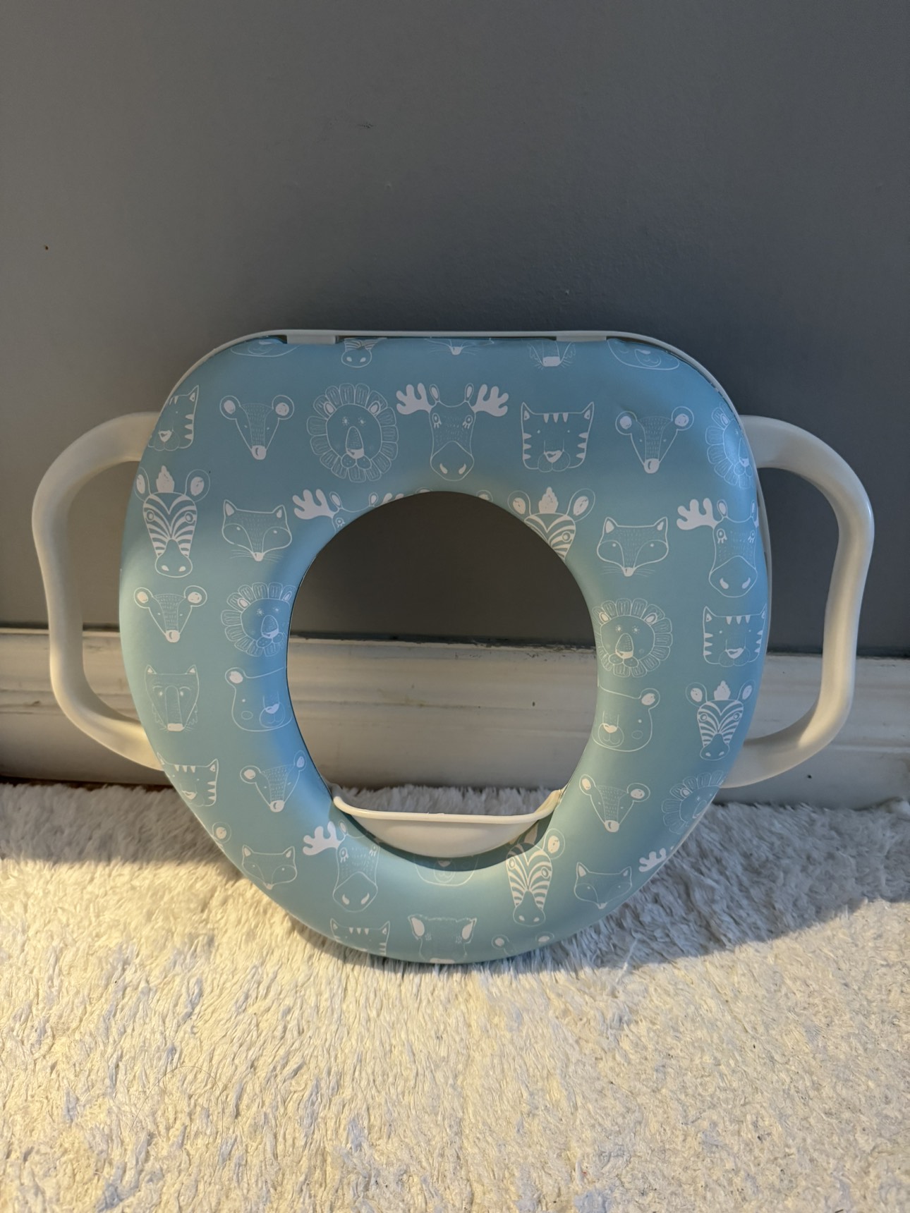 #freecycle Potty training toilet seat thumbnail