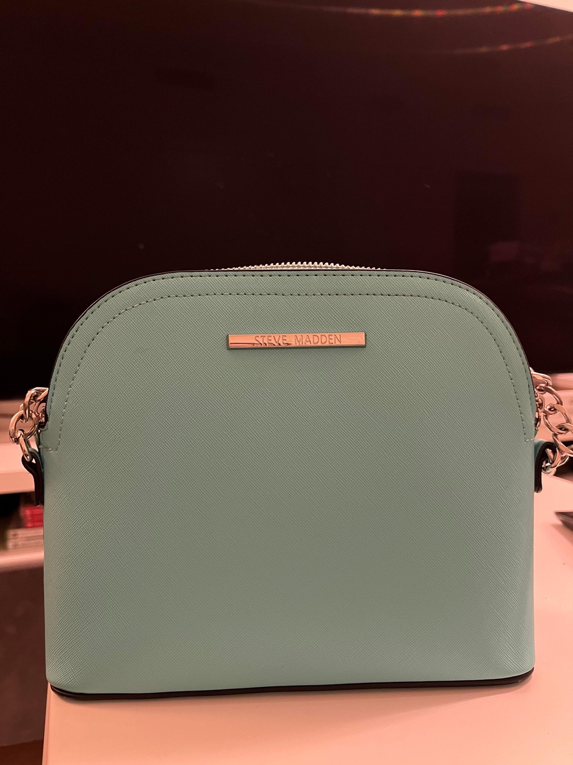 Steve Maden purse