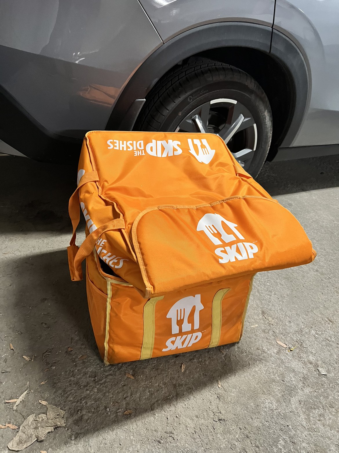 Skip the dishes delivery bags thumbnail