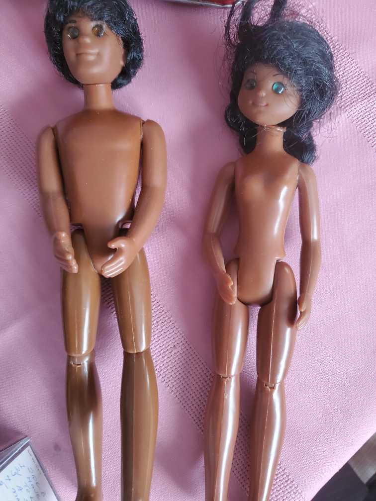 1973 barbies image indicator(2)