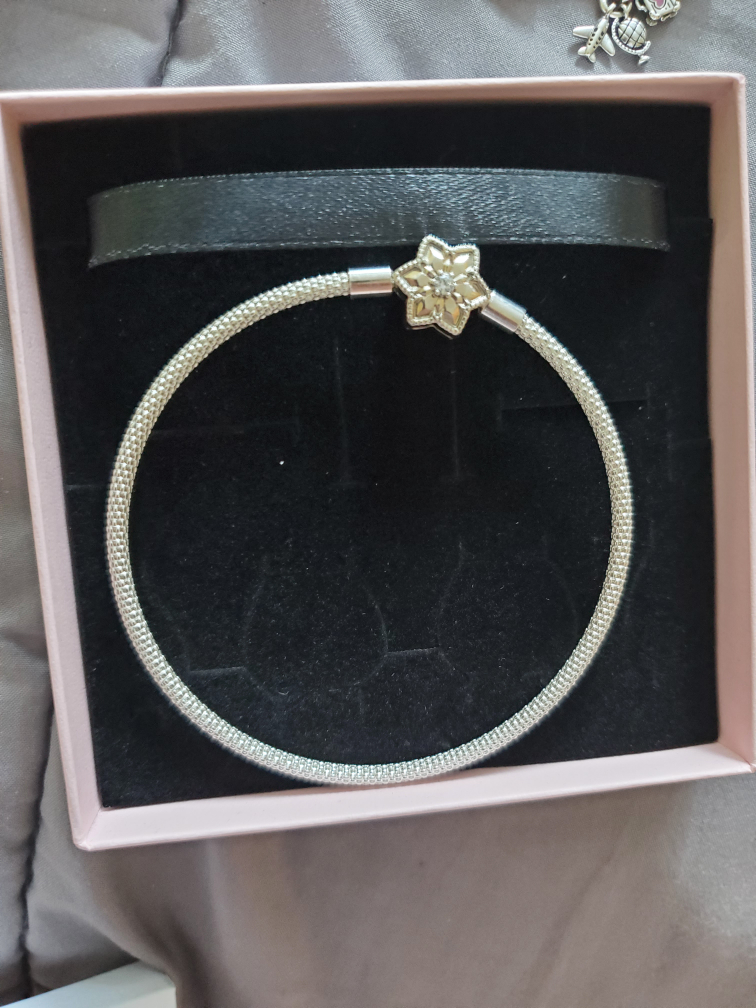 pandora bracelet set - photo 2