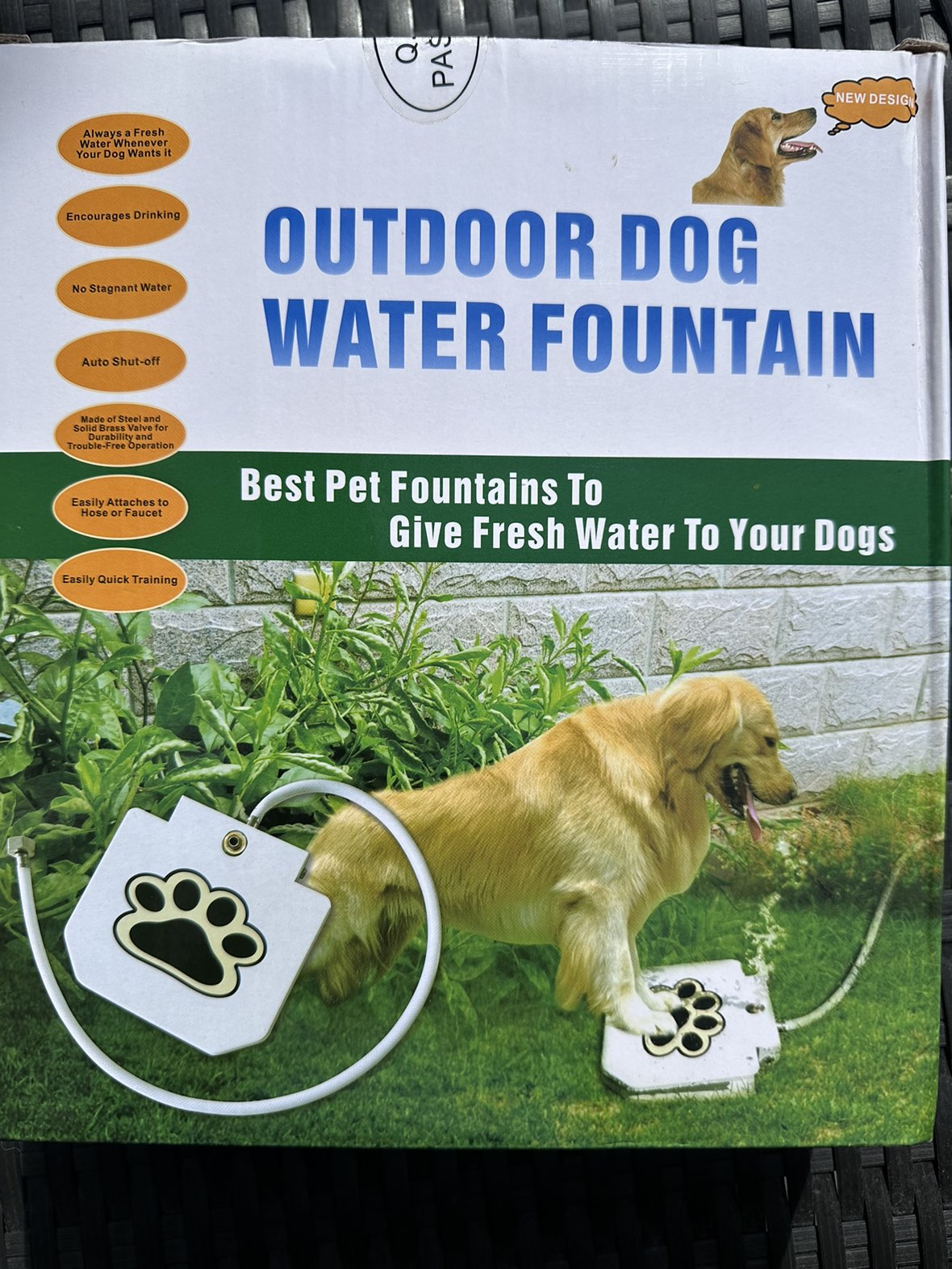 Outdoor Dog Water fountain