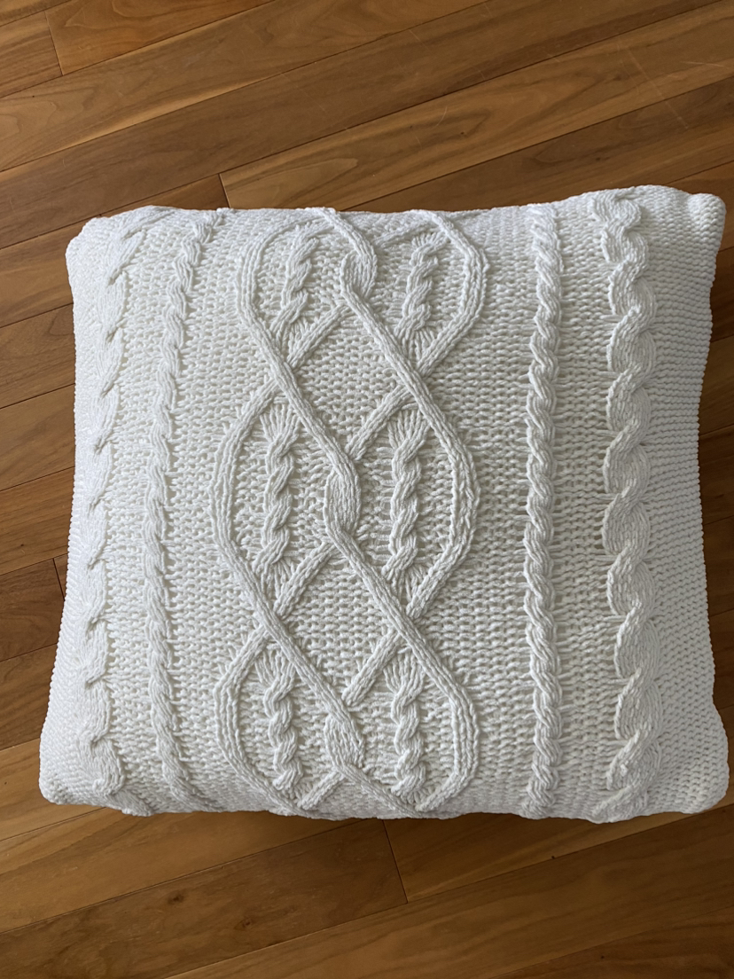 Two beautiful throw pillows