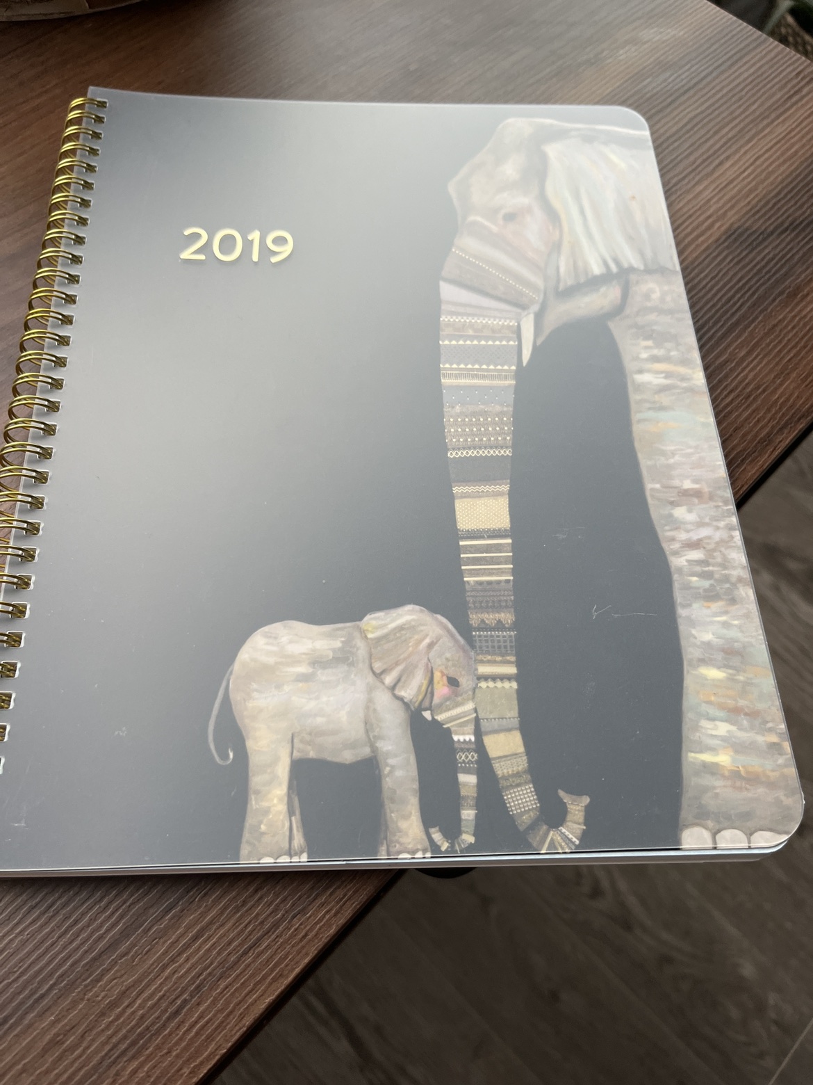 2019 agenda #freecycle  🥕 thumbnail
