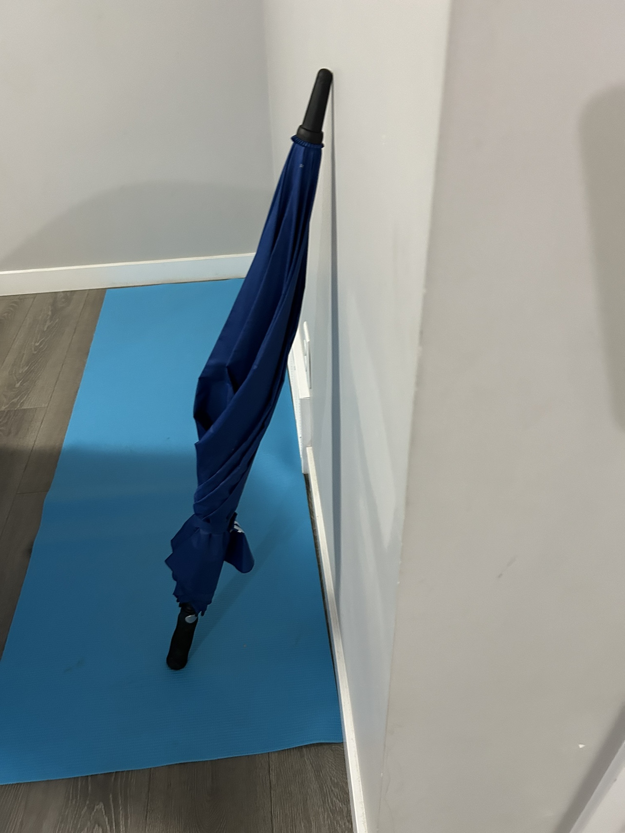 Umbrella