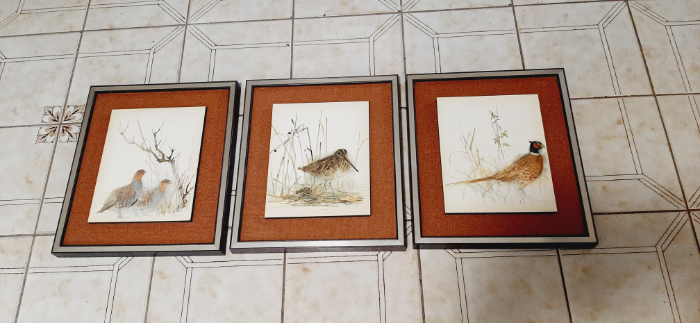 Set of 3 framed plaques of Birds Ireland. 13 x 15 inches thumbnail