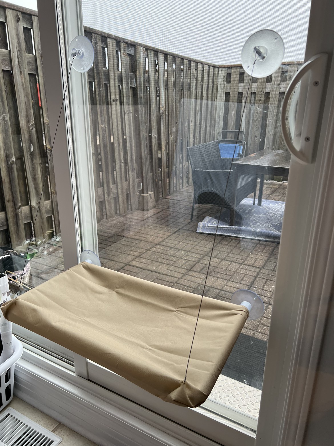 Cat window hammock thumbnail