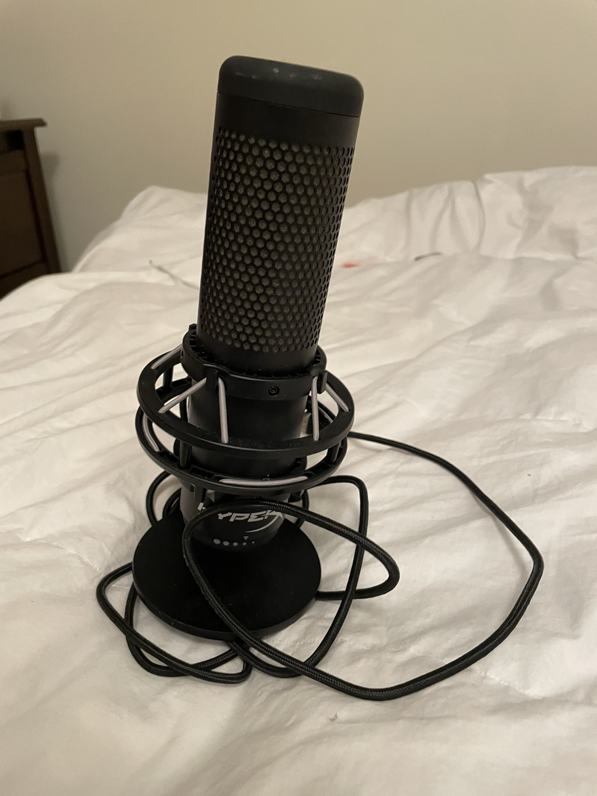 Hypex microphone - photo 4