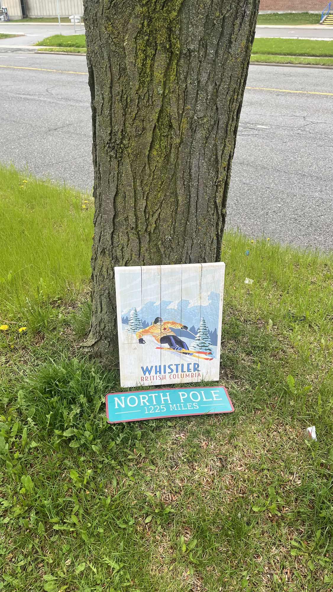 Wall Hanging And Metal Plate image indicator(2)