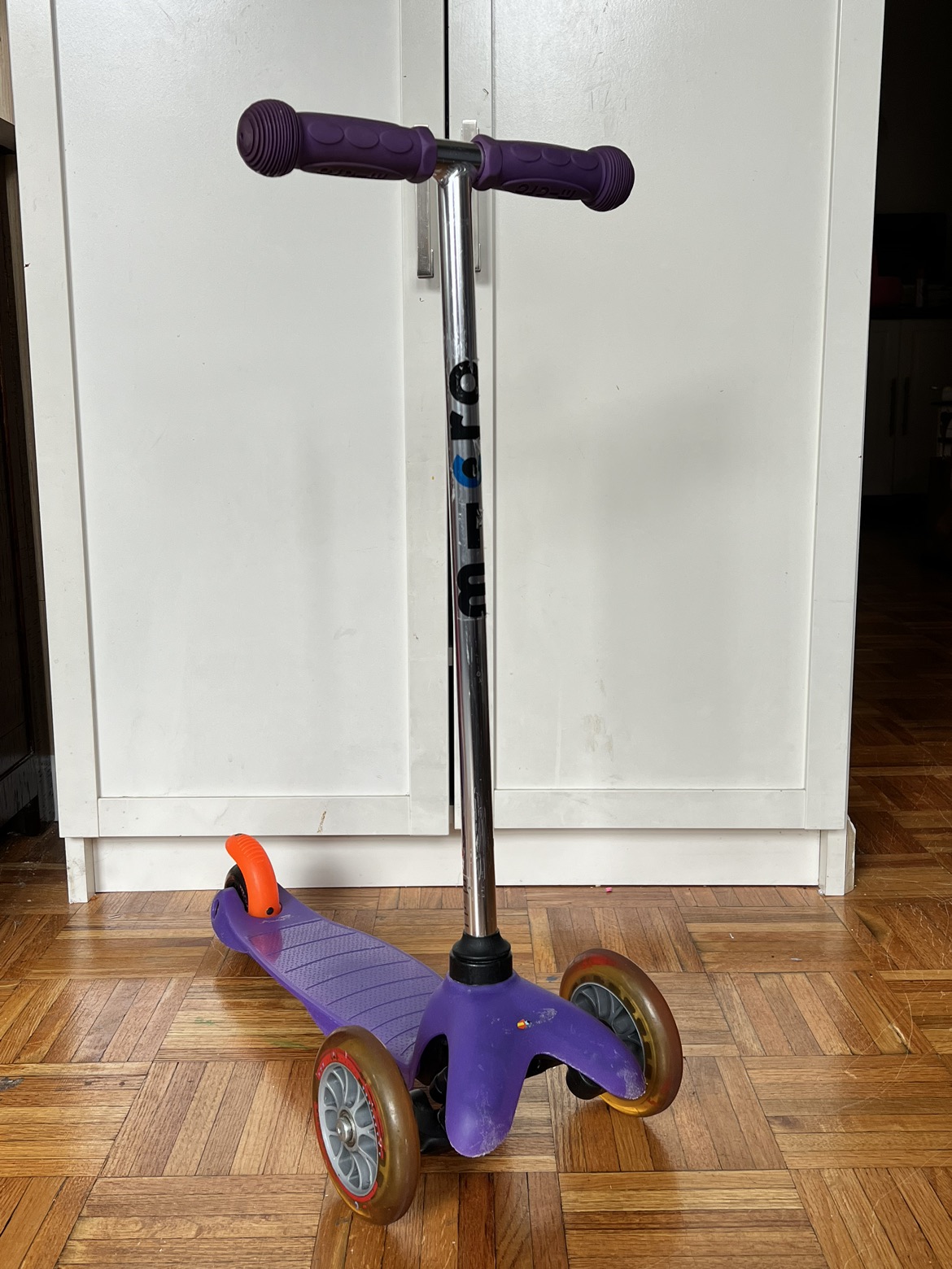 Micro Mini Scooter
