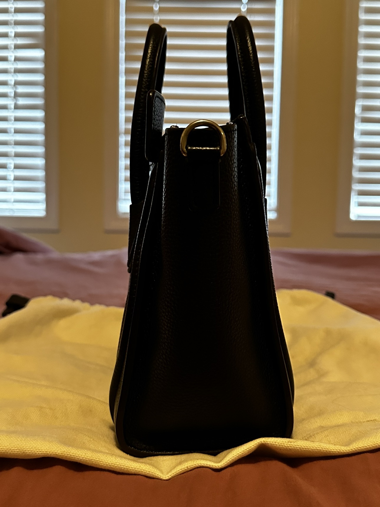 Celine Nano Luggage - photo 5