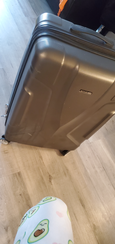 large suitcase thumbnail