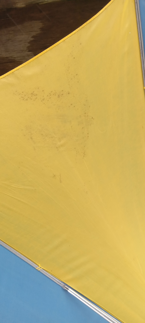 #FREECYCLE LARGE IKEA UMBRELLA image indicator(6)