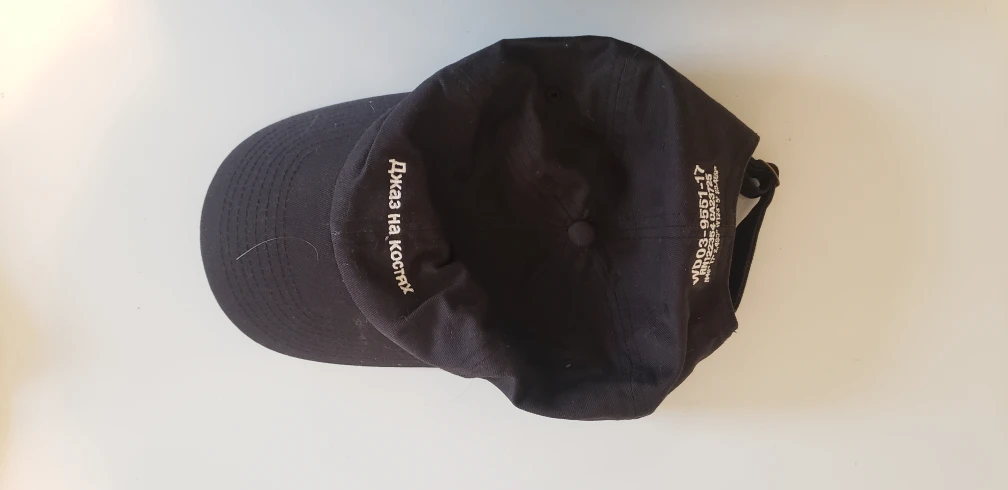 TNA / Aritzia Vetements '17 Cap image indicator(4)