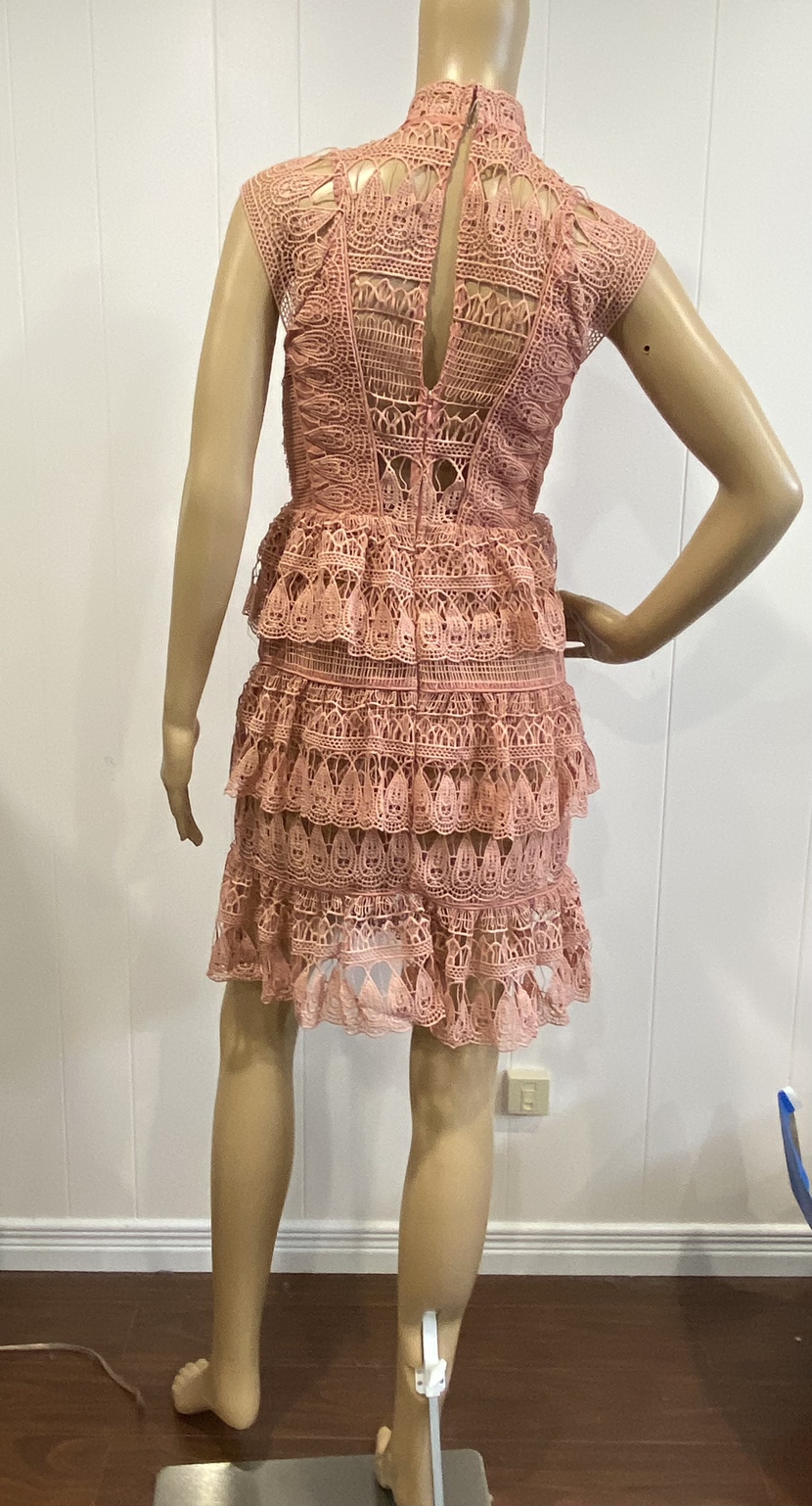 Pink Dress image indicator(9)