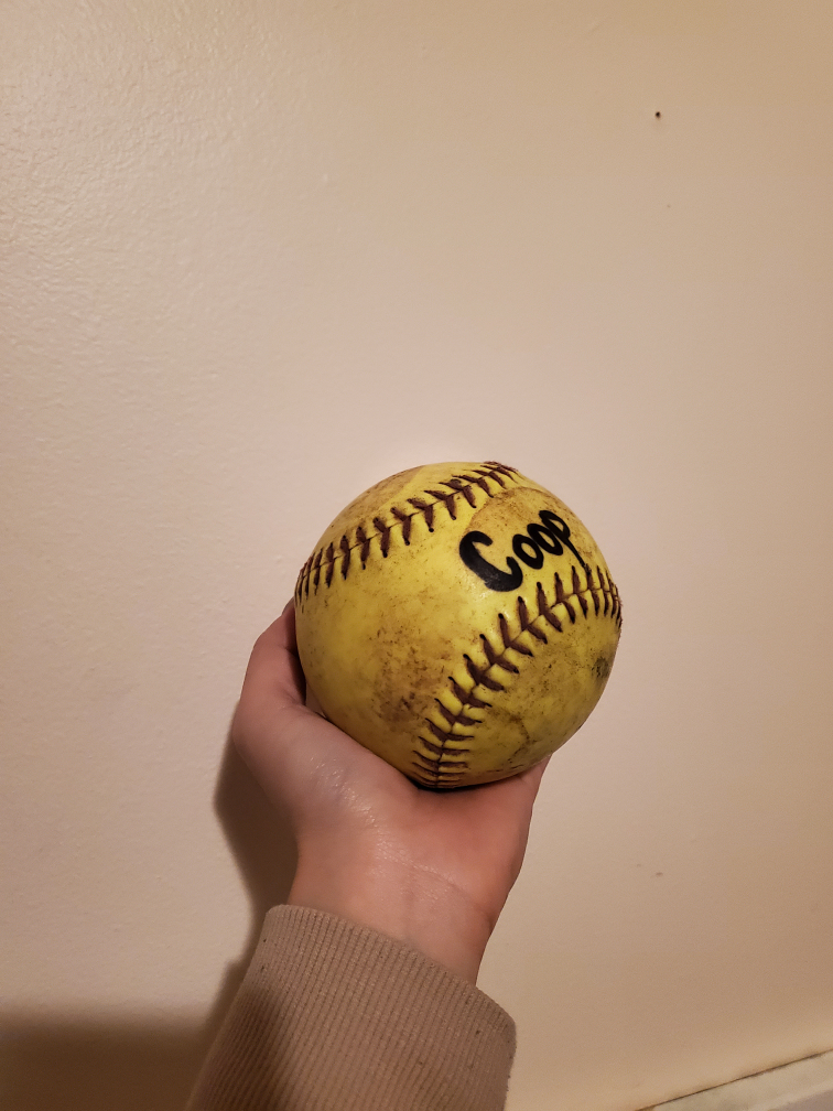 used 12 inch softball thumbnail
