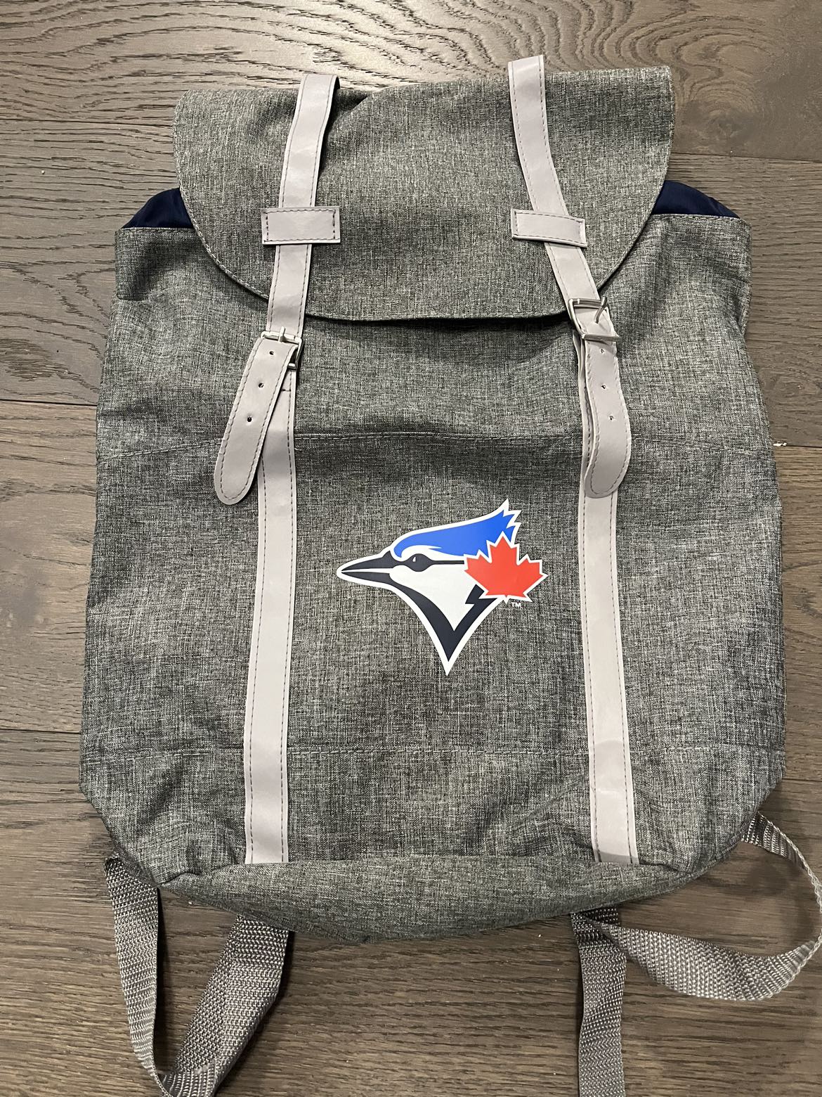 Authentic Toronto blue jays backpack EUC Ret $149 image indicator(2)