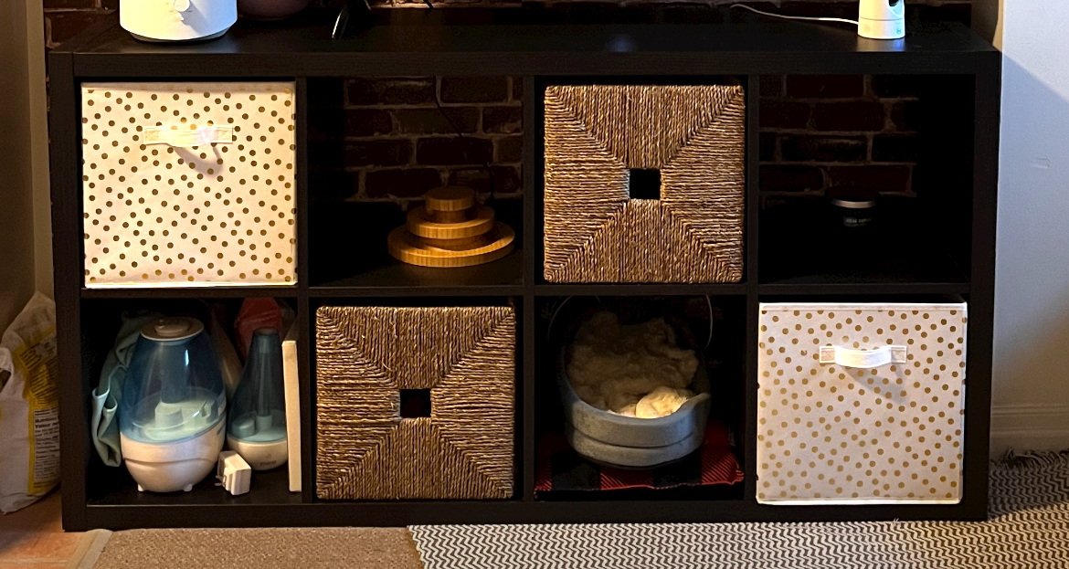Bookshelf