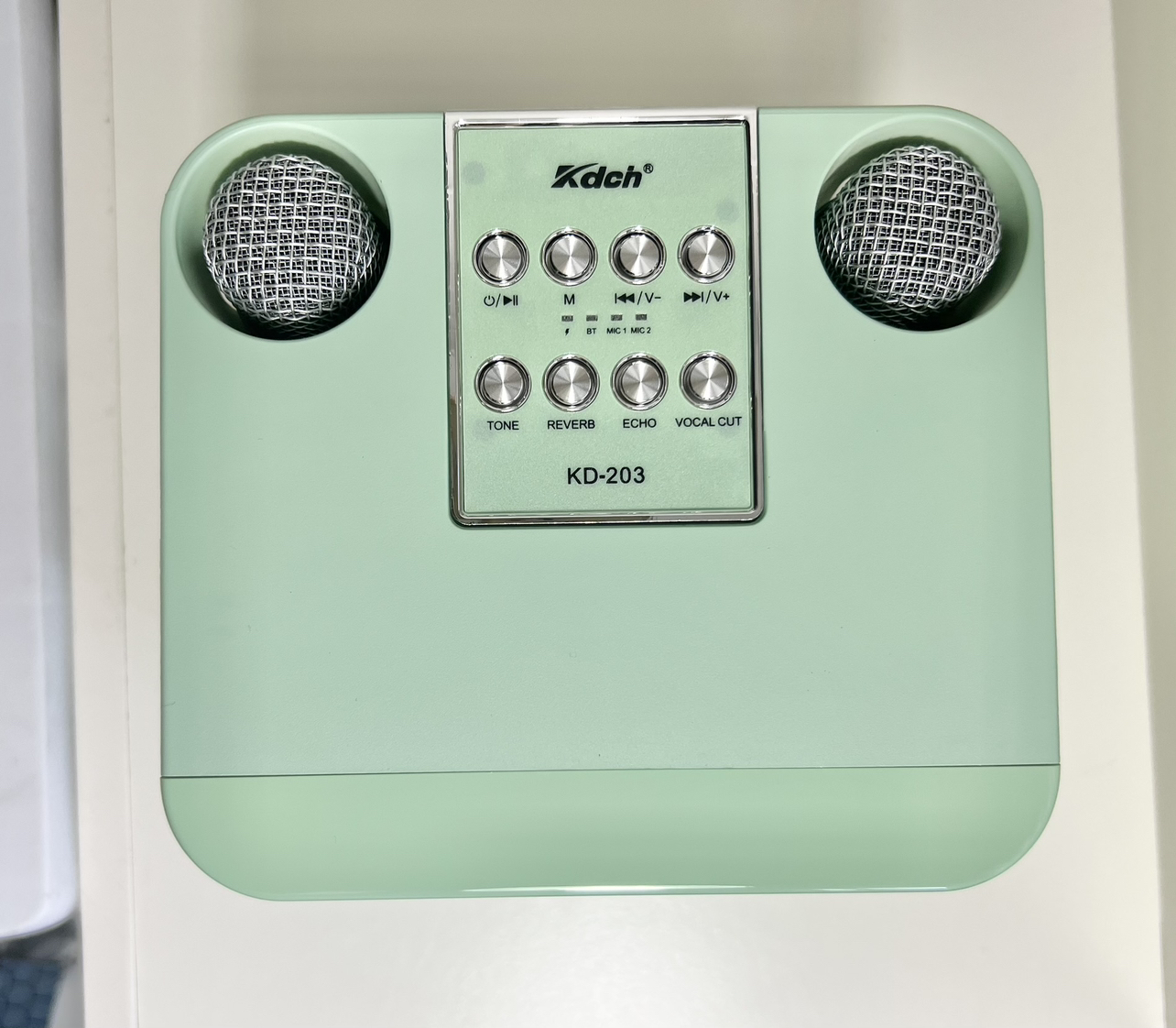 Bluetooth Karaoke Speaker with 2 mics image indicator(5)