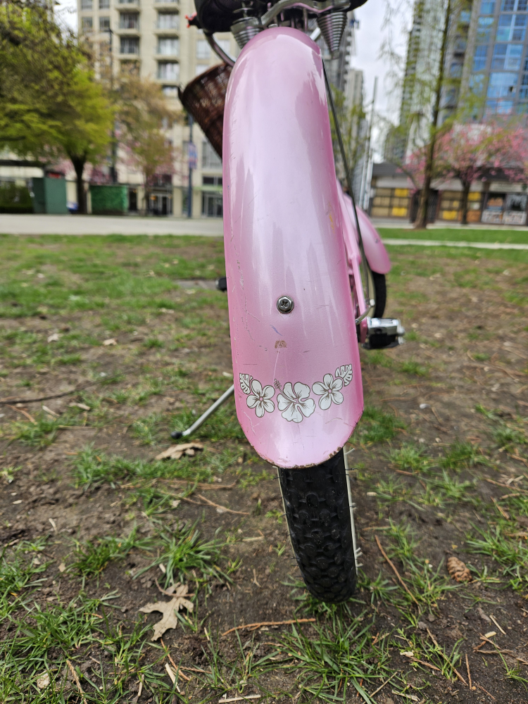 Cruiser Bike image indicator(8)