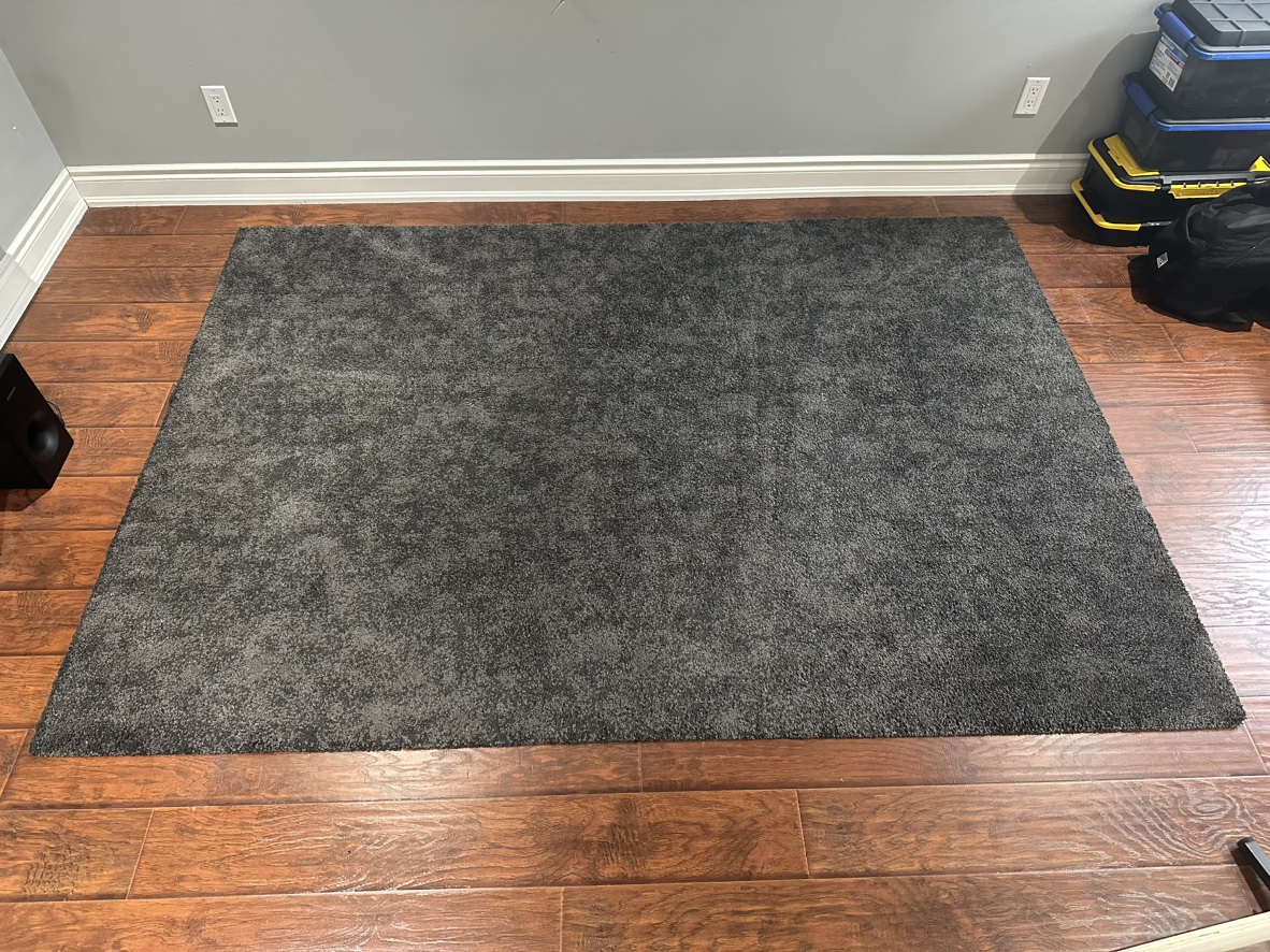 FREE - Grey Area Rug