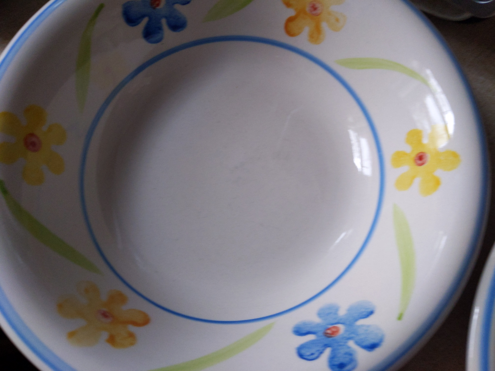 Soup bowls set  - 8 inches wide 2 inches deep image indicator(4)