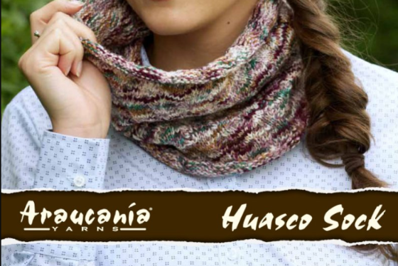 Hand Dyed Yarn - Huasco Sock image indicator(3)